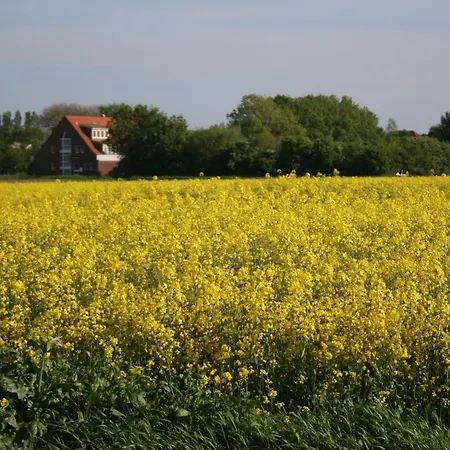 Fehmarn-ostseeferienwohnung Am Felde166 Lejlighed *